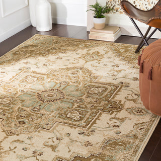 Surya Paramount PAR-1081 Area Rug Room Scene Feature