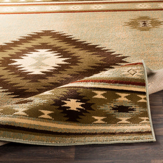 Surya Paramount PAR-1084 Area Rug 