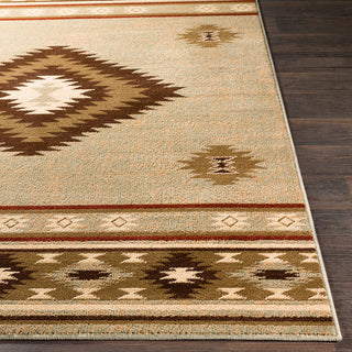 Surya Paramount PAR-1084 Area Rug 