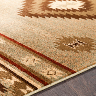 Surya Paramount PAR-1084 Area Rug Detail