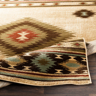 Surya Paramount PAR-1085 Area Rug 