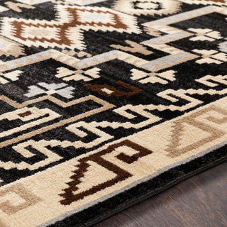 Surya Paramount PAR-1088 Area Rug Detail