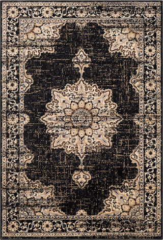 Surya Paramount PAR-1089 Black Charcoal Khaki Medium Gray Dark Brown Beige Area Rug Mirror main image