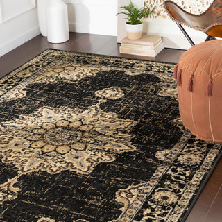 Surya Paramount PAR-1089 Area Rug Room Scene Feature