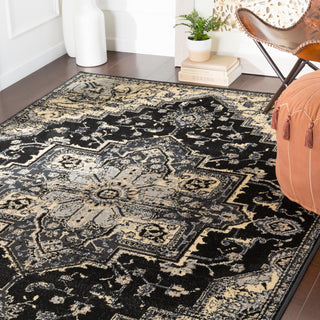 Surya Paramount PAR-1090 Area Rug Room Scene Feature