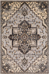 Surya Paramount PAR-1091 Medium Gray Charcoal Black Khaki Dark Brown Beige Area Rug Mirror main image