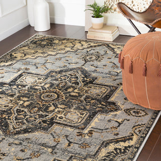 Surya Paramount PAR-1091 Area Rug Room Scene Feature