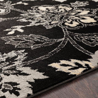 Surya Paramount PAR-1093 Area Rug Detail