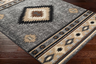 Surya Paramount PAR-1094 Area Rug Corner Shot