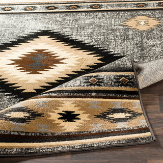 Surya Paramount PAR-1094 Area Rug 