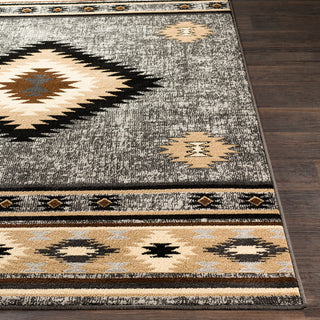 Surya Paramount PAR-1094 Area Rug 