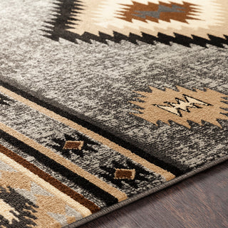 Surya Paramount PAR-1094 Area Rug Detail