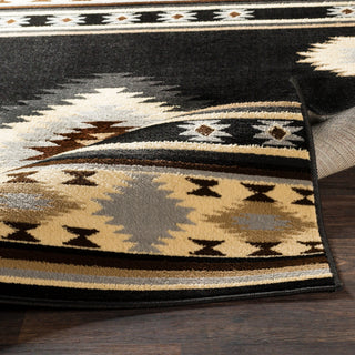 Surya Paramount PAR-1095 Area Rug 