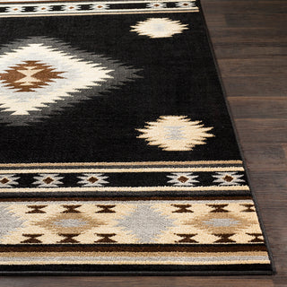 Surya Paramount PAR-1095 Area Rug 