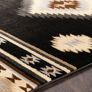 Surya Paramount PAR-1095 Area Rug Detail