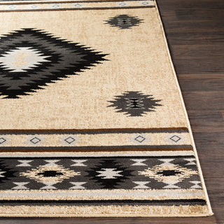 Surya Paramount PAR-1096 Area Rug 