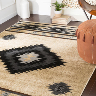 Surya Paramount PAR-1096 Area Rug Room Scene Feature