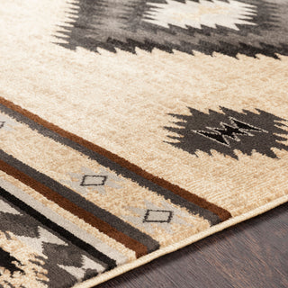 Surya Paramount PAR-1096 Area Rug Detail