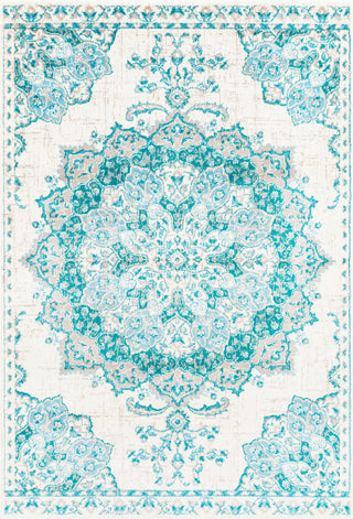 Surya Paramount PAR-1110 Teal Aqua Light Gray Cream Area Rug main image