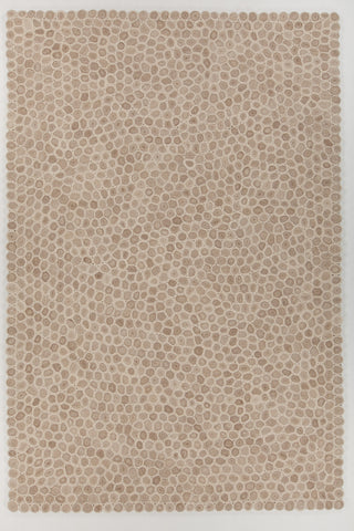 Chandra Patagonia PAT-46801 White Brown Beige Area Rug main image