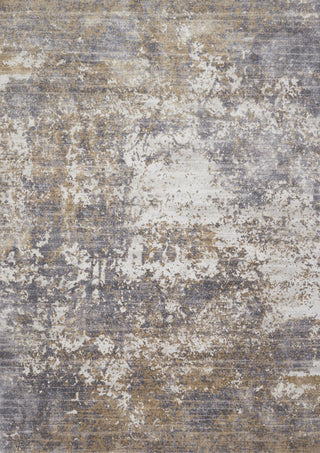 Loloi Patina PJ-02 Granite/Stone Area Rug Main Image