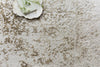 Loloi Patina PJ-03 Champagne/Light Grey Area Rug Close Up