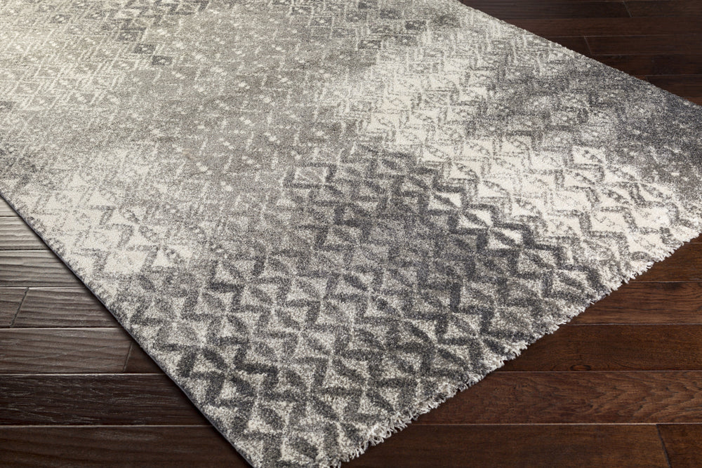 Surya Pembridge PBG-1001 Area Rug Corner Shot Feature