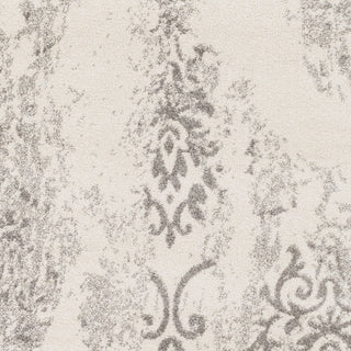 Surya Pembridge PBG-1004 Light Gray Area Rug Sample Swatch