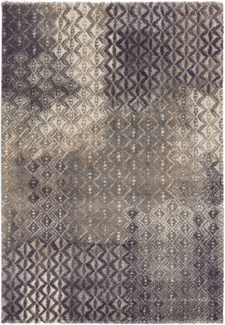 Surya Pembridge PBG-1008 Area Rug 5'2'' x 7'6''