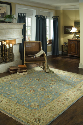 Momeni Palace PC-02 Light Blue Area Rug Roomshot Feature