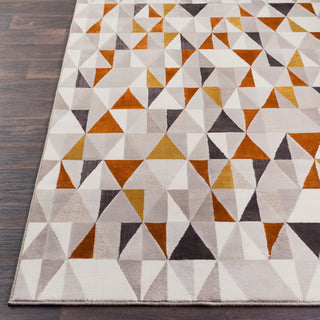 Surya Peachtree PCH-1008 Area Rug Detail Image