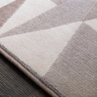 Surya Peachtree PCH-1009 Taupe Cream Area Rug Texture Image