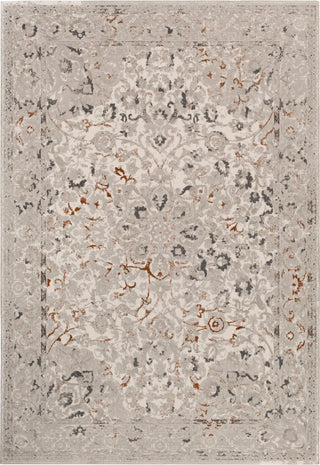 Surya Peachtree PCH-1011 Burnt Orange Dark Brown Taupe Cream Area Rug main image