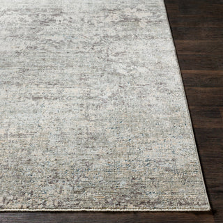 Surya Presidential PDT-2303 Area Rug 