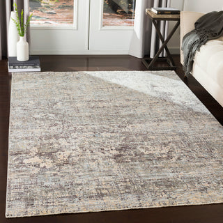 Surya Presidential PDT-2303 Area Rug Room Scene Feature