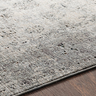 Surya Presidential PDT-2310 Area Rug Detail