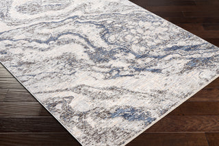 Surya Presidential PDT-2326 Area Rug Corner Shot