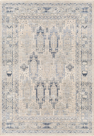 Surya Presidential PDT-2327 Area Rug main image