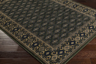 Surya Perseus PEE-1001 Black/Blue Area Rug Closeup