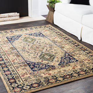 Surya Perseus PEE-1004 Area Rug Room Image Feature