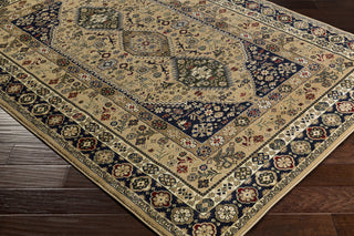 Surya Perseus PEE-1004 Yellow/Brown Area Rug Closeup