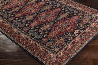 Surya Perseus PEE-1005 Red/Blue Area Rug Closeup