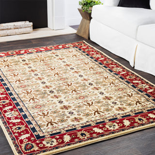 Surya Perseus PEE-1008 Area Rug Room Image Feature