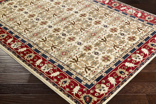 Surya Perseus PEE-1008 Yellow/Brown Area Rug Closeup