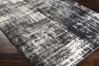 Surya Pepin PEI-1006 Grey/Black Area Rug Closeup