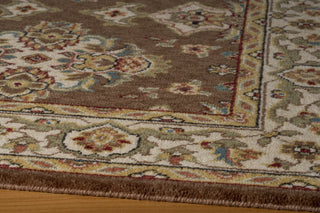 Momeni Persian Garden PG-01 Cocoa Area Rug Closeup