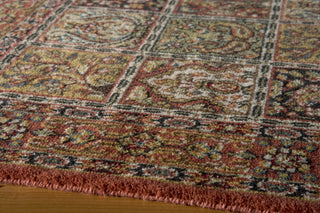 Momeni Persian Garden PG-15 Multi Area Rug Closeup