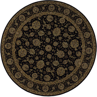 Momeni Persian Heritage PH-04 Black Area Rug Close up