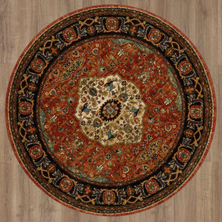 Karastan Spice Market Petra Multi Area Rug Main Image