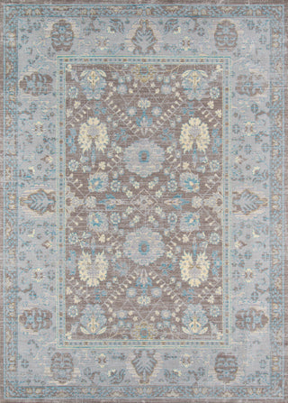 Momeni Petra PE-04 Dark Grey Area Rug main image